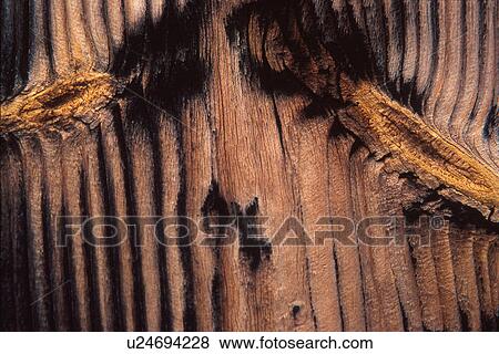 Stock Photo - Ribbed wood with two knotholes. Fotosearch