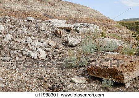 A rocky slope View Large Photo Image Stock Image - A rocky slope. Fotosearch