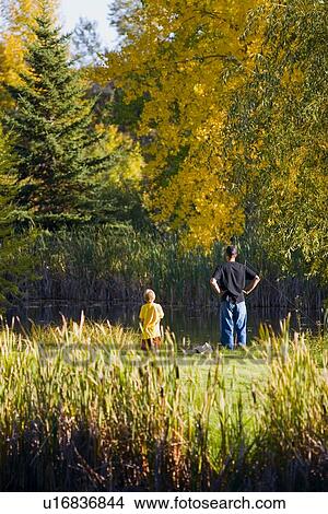 Picture - Boys hang out at a pond. Fotosearch