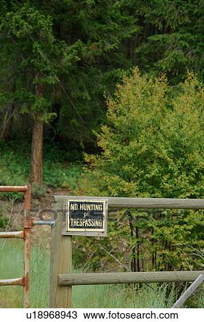 No hunting sign View Large Photo Image Stock Image - No hunting sign. Fotosearch
