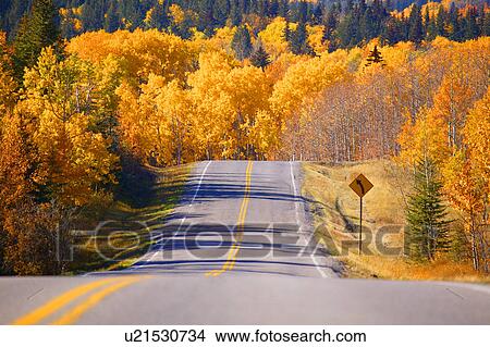 A scenic road View Large Photo Image Picture - A scenic road. Fotosearch