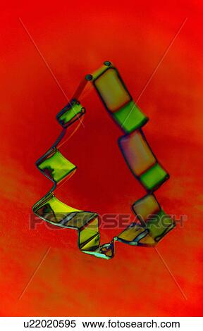 Stock Photography - Christmas tree cookie cutter. Fotosearch