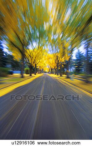 Speeding down a road in autumn View Large Photo Image Stock Photograph - Speeding down a road in autumn. Fotosearch