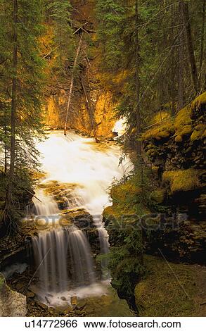 Time delay image of waterfall in forest View Large Photo Image Stock Photograph - Time delay image of waterfall in forest. Fotosearch