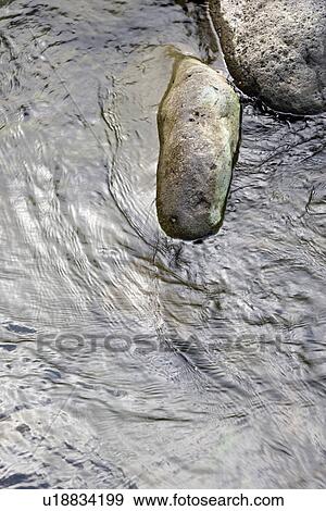 Stock Photo - Close up of running water in Iao Valley State Park in Maui, Hawaii.. Fotosearch