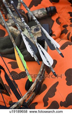 Still life shot of bow and arrows laying against blaze orange camouflage. View Large Photo Image Stock Photo - Still life shot of bow and arrows laying against blaze orange camouflage.. Fotosearch