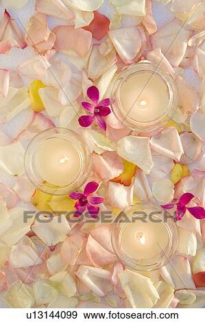 Above view of lit candles with purple orchids and rose petals. View Large Photo Image Stock Photo - Above view of lit candles with purple orchids and rose petals.. Fotosearch