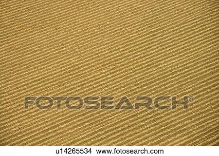 Aerial of rows in agricultural cropland. View Large Photo Image Picture - Aerial of rows in agricultural cropland.. Fotosearch