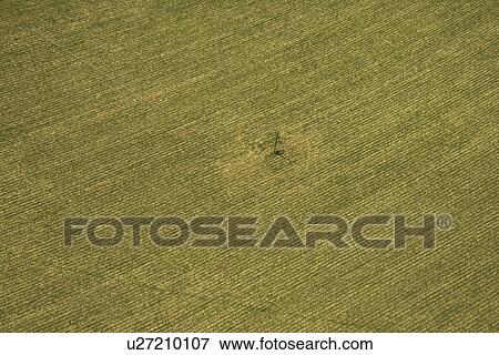 Stock Photo - Aerial view of cultivated crop. . Fotosearch