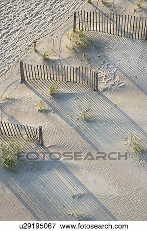 Aerial view of fences and marram grass on beach of Bald Head Island in North Carolina View Large Photo Image Stock Photo - Aerial view of fences and marram grass on beach of Bald Head Island in North Carolina. Fotosearch