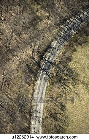 Aerial view of rural country dirt road with bare trees. View Large Photo Image Picture - Aerial view of rural country dirt road with bare trees. . Fotosearch