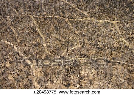 Aerial view of several dirt roads intersecting in wooded area with bare trees in Pennsylvania. View Large Photo Image Stock Photography - Aerial view of several dirt roads intersecting in wooded area with bare trees in Pennsylvania.. Fotosearch