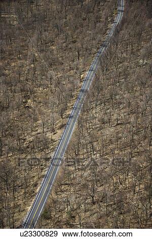 Aerial view of two lane road through barren rural forest. View Large Photo Image Stock Photo - Aerial view of two lane road through barren rural forest. . Fotosearch