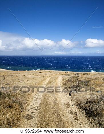 Picture - Dirt road leading to secluded beach in Maui, Hawaii.. Fotosearch