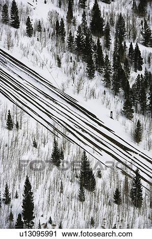 High angle view of snowfall sweeping over road with evergreen trees. View Large Photo Image Stock Image - High angle view of snowfall sweeping over road with evergreen trees.. Fotosearch