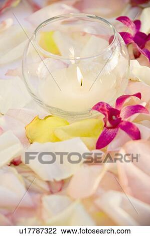 Stock Image - Lit candle with purple orchids and rose petals.. Fotosearch