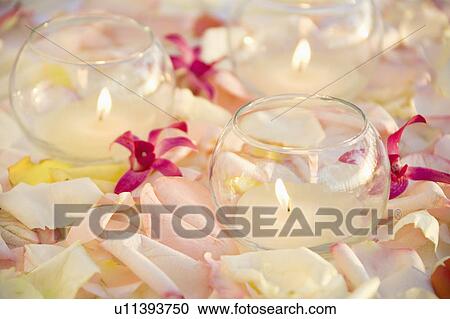 Lit candles with purple orchids and rose petals. View Large Photo Image Stock Image - Lit candles with purple orchids and rose petals.. Fotosearch
