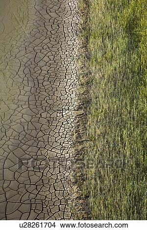 Marsh land with grasses and drying cracked mud. View Large Photo Image Picture - Marsh land with grasses and drying cracked mud.. Fotosearch