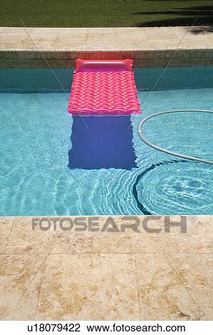 Pink float and vacuum hose in swimming pool. View Large Photo Image Stock Image - Pink float and vacuum hose in swimming pool.. Fotosearch