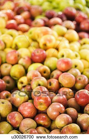 Red and yellow apples piled on table at produce market. View Large Photo Image Stock Image - Red and yellow apples piled on table at produce market.. Fotosearch