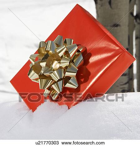 Stock Image - Red present with gold bow placed in snow with birch tree in background.. Fotosearch