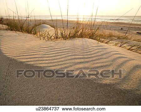 Sandy beach with ocean in background. View Large Photo Image Stock Photo - Sandy beach with ocean in background.. Fotosearch
