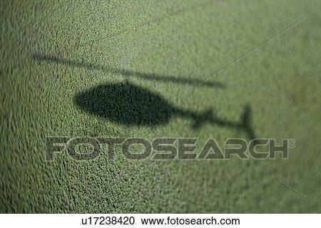 Shadow of helicopter above green marsh with abundant foliage. View Large Photo Image Stock Image - Shadow of helicopter above green marsh with abundant foliage.. Fotosearch