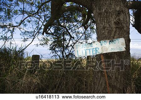 Sign reading please do not litter with tree and clouds in background. View Large Photo Image Stock Image - Sign reading please do not litter with tree and clouds in background.. Fotosearch