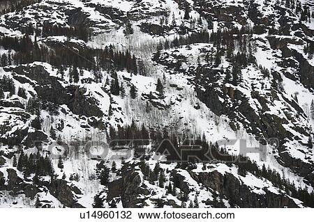 Snow covering steep mountainside with trees. View Large Photo Image Stock Image - Snow covering steep mountainside with trees.. Fotosearch