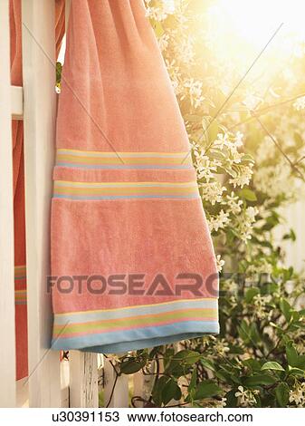 Sun flare through flowering vine with towel hanging on white picket fence. View Large Photo Image Stock Image - Sun flare through flowering vine with towel hanging on white picket fence.. Fotosearch