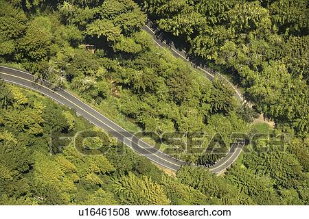 Winding scenic highway with trees in California USA View Large Photo Image Stock Photo - Winding scenic highway with trees in California USA. Fotosearch