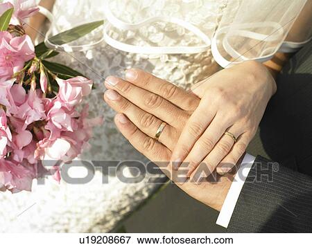 Bride and groom hands with wedding rings View Large Photo Image Stock Photo - Bride and groom hands with wedding rings. Fotosearch