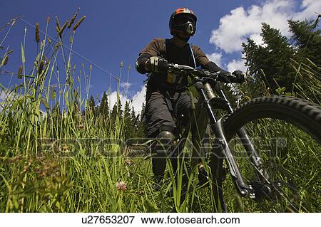 Mountain biking in the alps View Large Photo Image Stock Photo - Mountain biking in the alps. Fotosearch