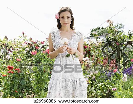 Woman holding a rose in rose garden View Large Photo Image Stock Photography - Woman holding a rose in rose garden. Fotosearch