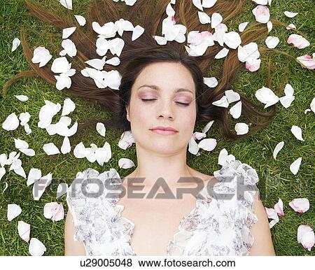Woman sleeping, with rose pedals View Large Photo Image Stock Photo - Woman sleeping, with rose pedals. Fotosearch
