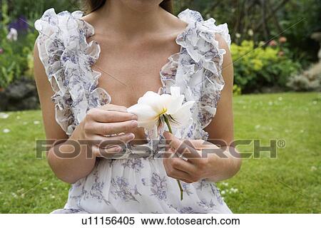 Stock Photography - Woman taking pedals of rose. Fotosearch