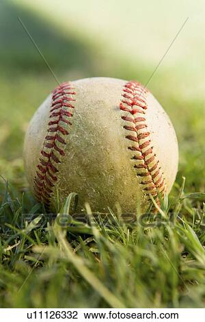 Stock Image - Baseball on grass (close-up). Fotosearch
