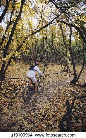 Biker riding on forest trail View Large Photo Image Picture - Biker riding on forest trail. Fotosearch