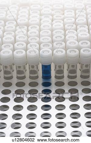 Stock Image - Blue test tube amongst empty test tubes. Fotosearch