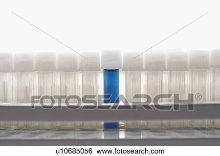 Blue test tube amongst empty test tubes View Large Photo Image Stock Photograph - Blue test tube amongst empty test tubes. Fotosearch