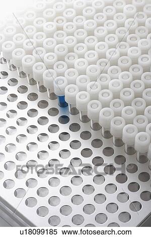 Blue test tube amongst empty test tubes View Large Photo Image Stock Photography - Blue test tube amongst empty test tubes. Fotosearch
