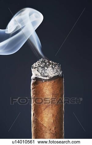 End of smoking cigar in studio black background View Large Photo Image Stock Image - End of smoking cigar in studio black background. Fotosearch
