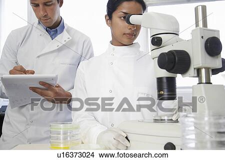 Female lab worker adjusting microscope male lab worker writing behind View Large Photo Image Picture - Female lab worker adjusting microscope male lab worker writing behind. Fotosearch