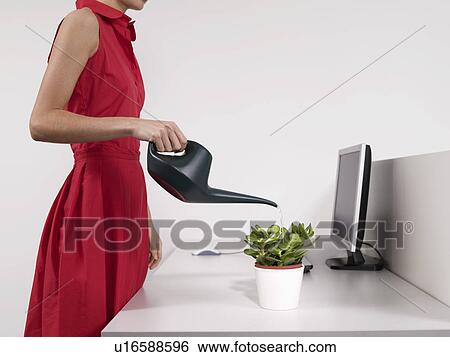 Stock Photograph - Female office worker watering desk plant. Fotosearch
