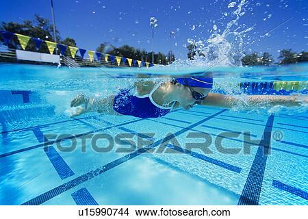 Female swimmer in pool View Large Photo Image Picture - Female swimmer in pool. Fotosearch
