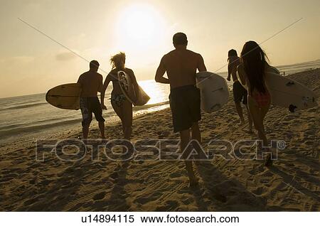 Stock Photography - Five surfers carrying surfboards on beach at sunset back view. Fotosearch