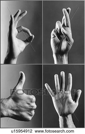 Four hands gesturing (b&w) View Large Photo Image Stock Image - Four hands gesturing (b&w). Fotosearch