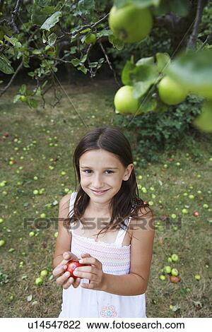 Girl (10-12) holding apple in garden View Large Photo Image Stock Image - Girl (10-12) holding apple in garden. Fotosearch