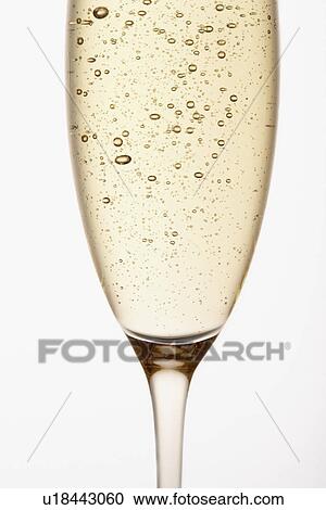 Glass of Champagne close up in studio View Large Photo Image Stock Image - Glass of Champagne close up in studio. Fotosearch