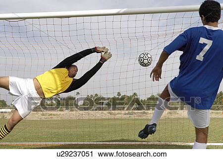 Goalkeeper reaching for ball as soccer player scores View Large Photo Image Stock Image - Goalkeeper reaching for ball as soccer player scores. Fotosearch